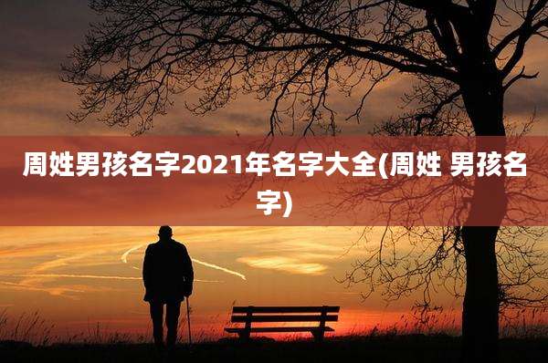 周姓男孩名字2021年名字大全(周姓 男孩名字)
