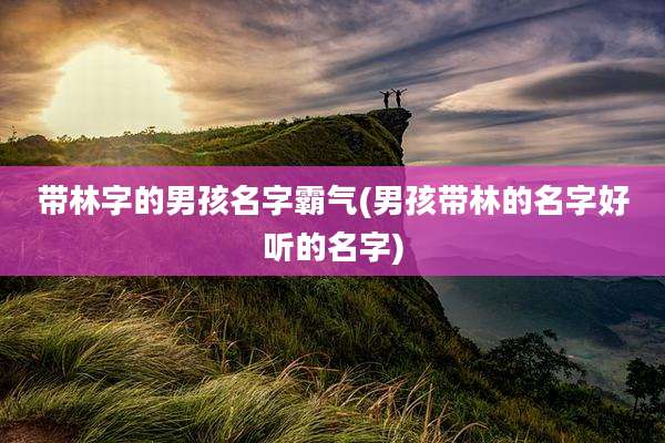 带林字的男孩名字霸气(男孩带林的名字好听的名字)