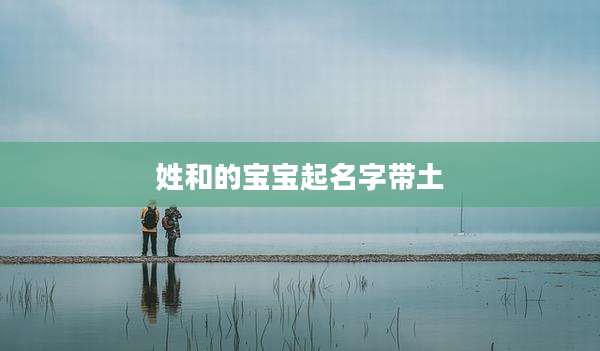 姓和的宝宝起名字带土