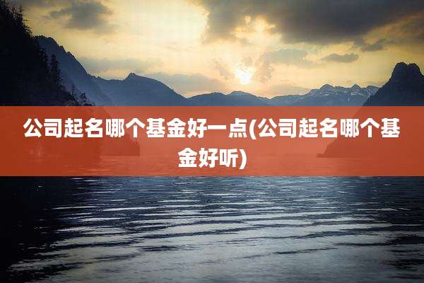 公司起名哪个基金好一点(公司起名哪个基金好听)