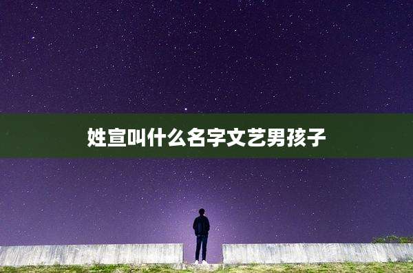 姓宣叫什么名字文艺男孩子