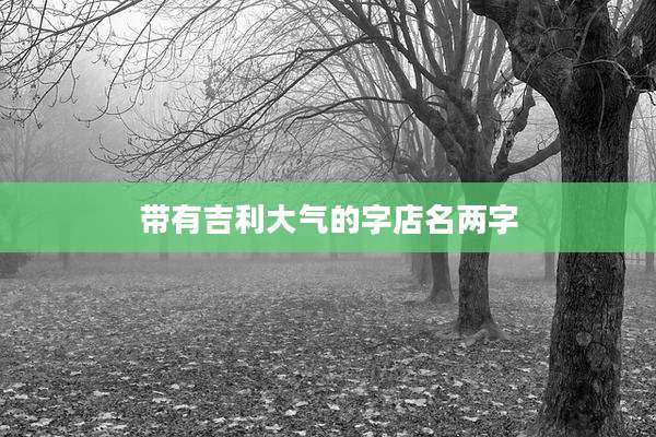带有吉利大气的字店名两字