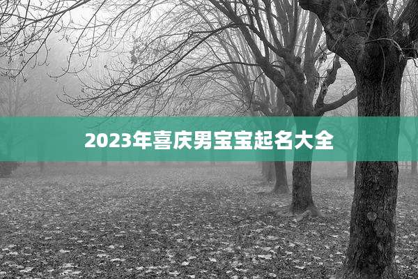 2023年喜庆男宝宝起名大全