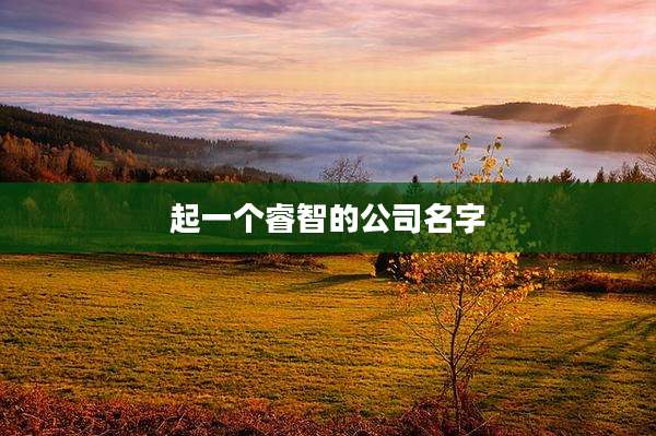 起一个睿智的公司名字