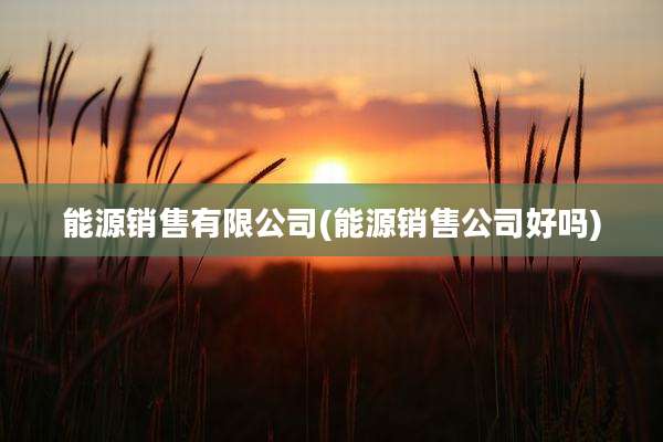 能源销售有限公司(能源销售公司好吗)