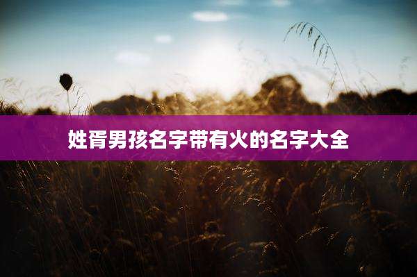 姓胥男孩名字带有火的名字大全