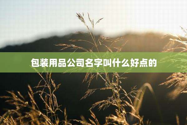包装用品公司名字叫什么好点的