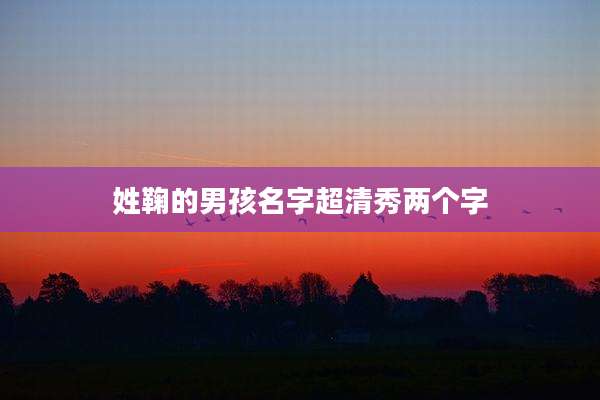 姓鞠的男孩名字超清秀两个字