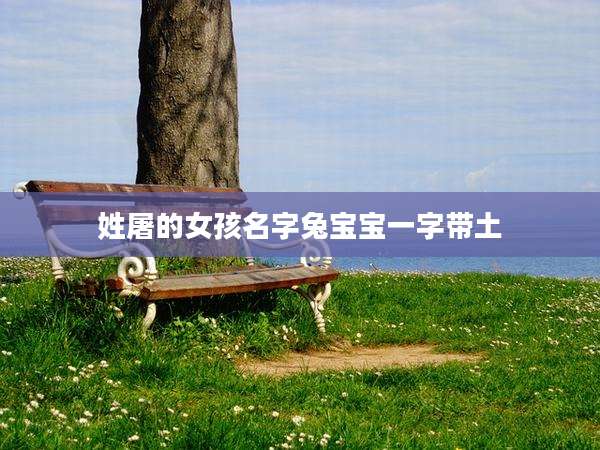 姓屠的女孩名字兔宝宝一字带土