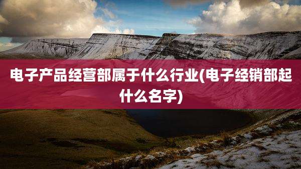 电子产品经营部属于什么行业(电子经销部起什么名字)