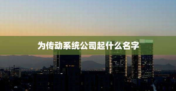 为传动系统公司起什么名字