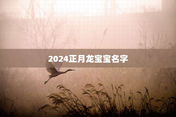 2024正月龙宝宝名字