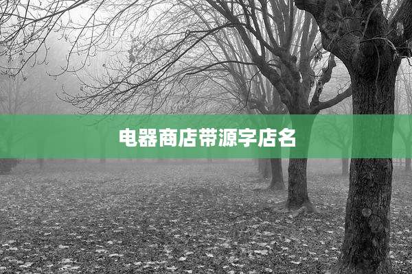 电器商店带源字店名