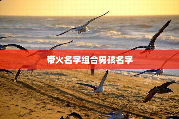 带火名字组合男孩名字