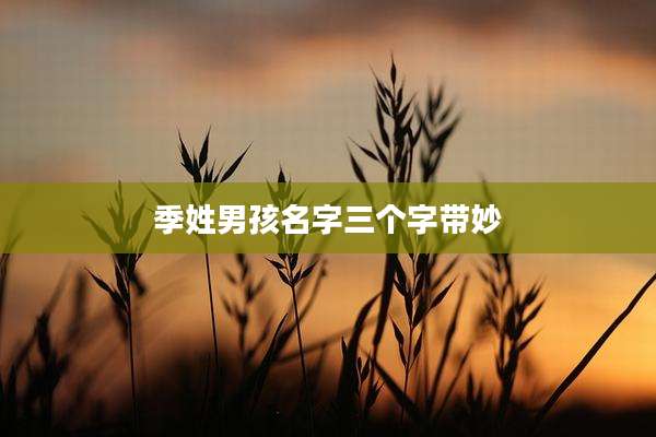 季姓男孩名字三个字带妙