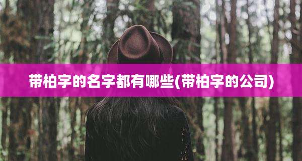 带柏字的名字都有哪些(带柏字的公司)