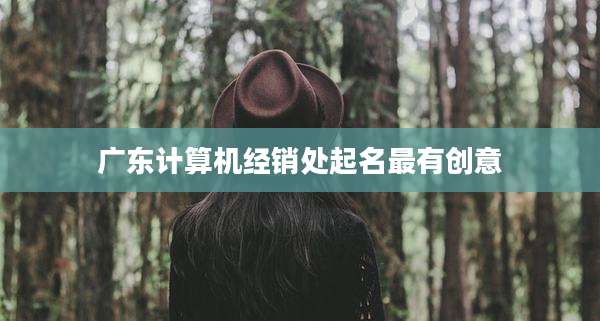 广东计算机经销处起名最有创意