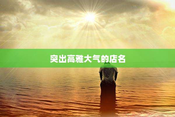 突出高雅大气的店名