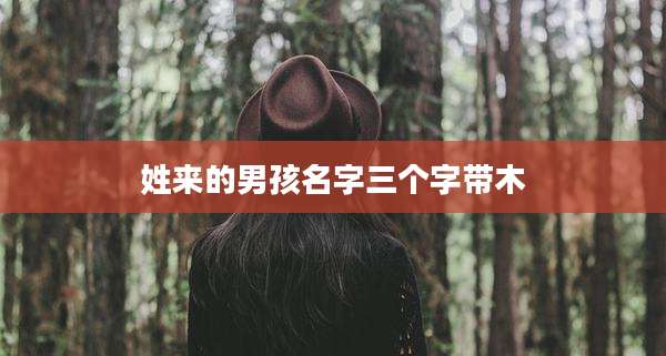 姓来的男孩名字三个字带木