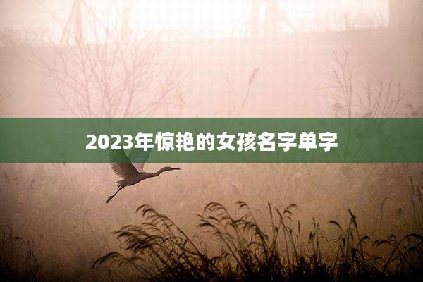 2023年惊艳的女孩名字单字