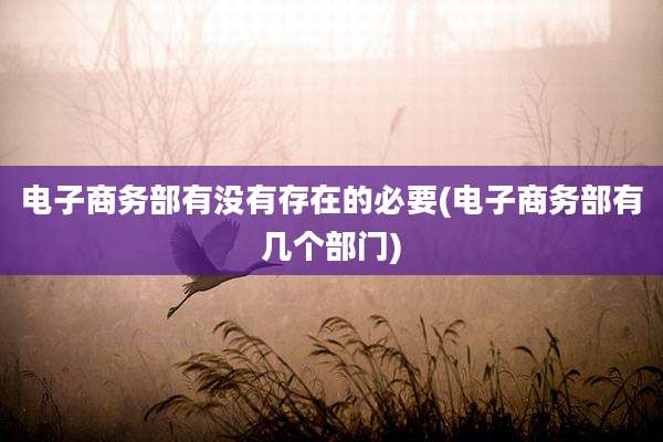 电子商务部有没有存在的必要(电子商务部有几个部门)