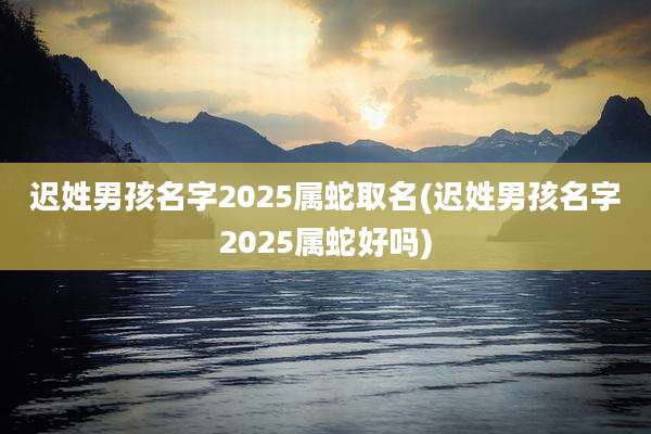 迟姓男孩名字2025属蛇取名(迟姓男孩名字2025属蛇好吗)