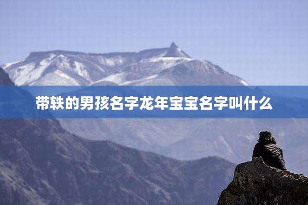 带轶的男孩名字龙年宝宝名字叫什么