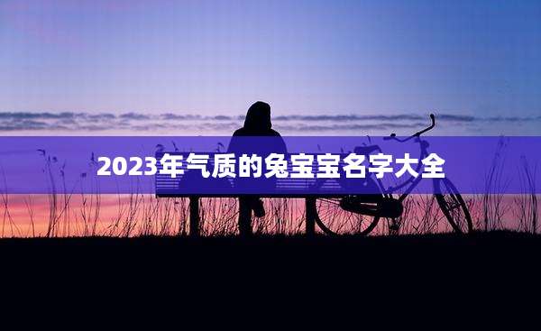 2023年气质的兔宝宝名字大全