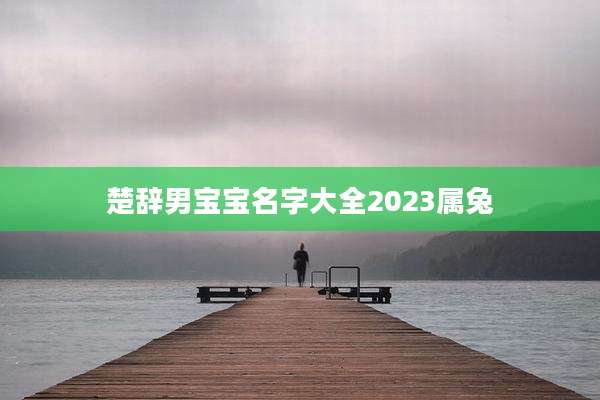 楚辞男宝宝名字大全2023属兔