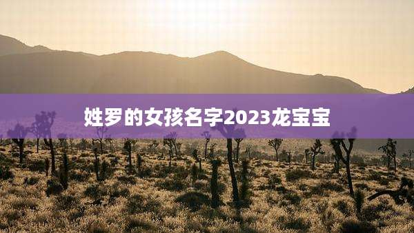 姓罗的女孩名字2023龙宝宝