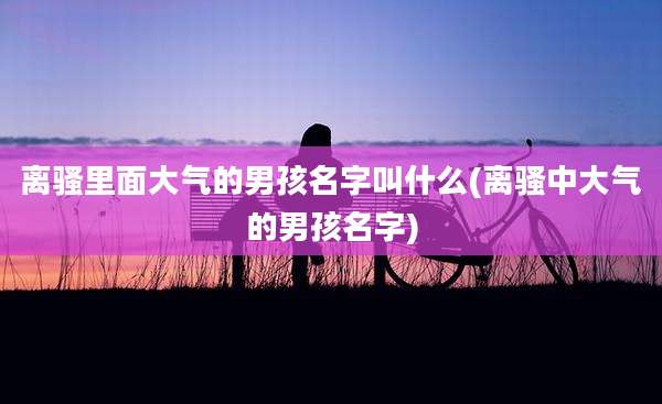 离骚里面大气的男孩名字叫什么(离骚中大气的男孩名字)