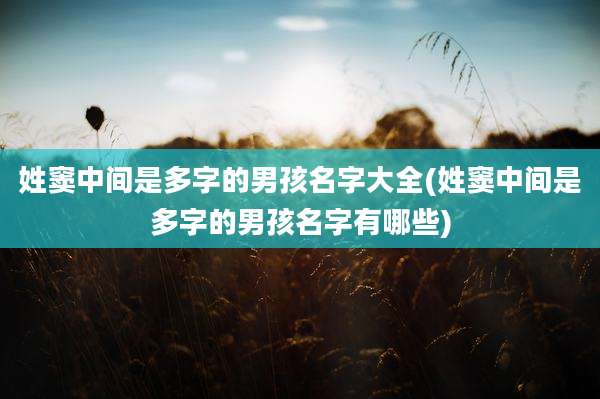 姓窦中间是多字的男孩名字大全(姓窦中间是多字的男孩名字有哪些)