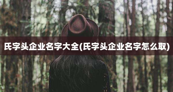 氏字头企业名字大全(氏字头企业名字怎么取)