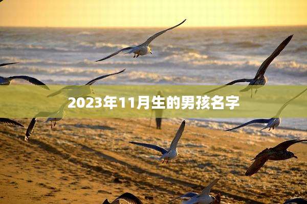 2023年11月生的男孩名字