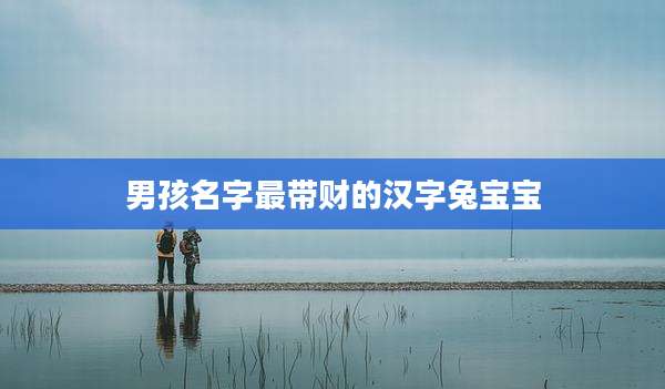 男孩名字最带财的汉字兔宝宝