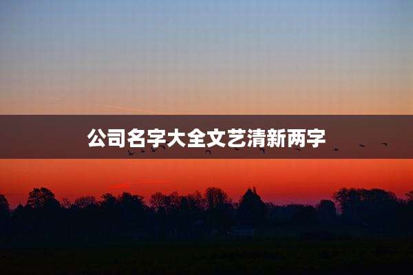 公司名字大全文艺清新两字