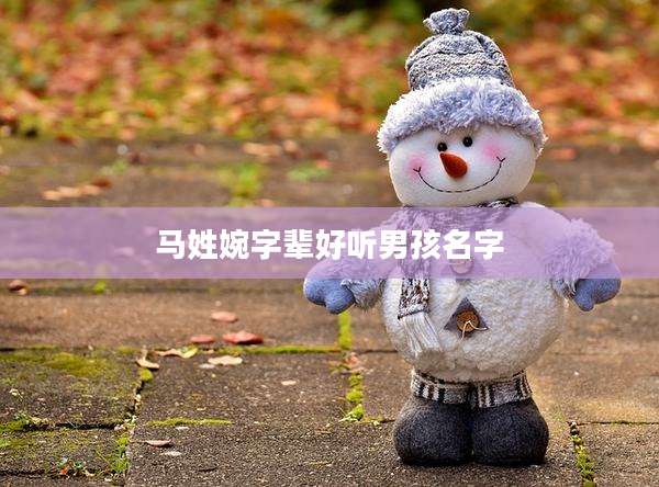 马姓婉字辈好听男孩名字