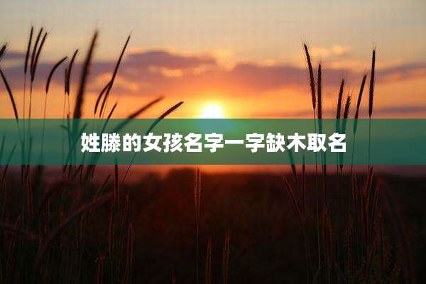 姓滕的女孩名字一字缺木取名