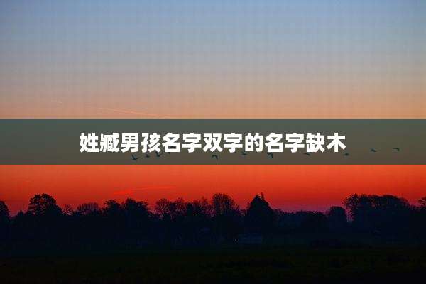 姓臧男孩名字双字的名字缺木