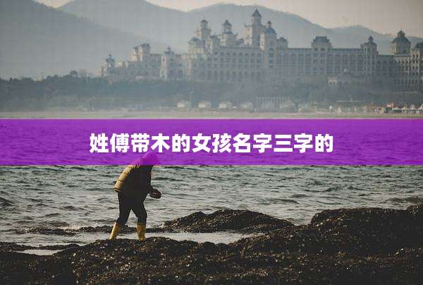 姓傅带木的女孩名字三字的
