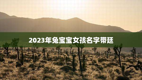 2023年兔宝宝女孩名字带廷