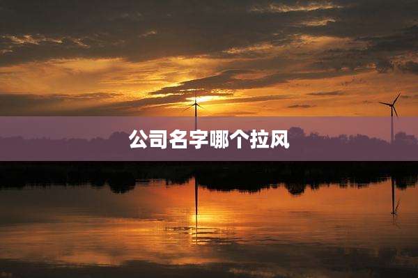 公司名字哪个拉风