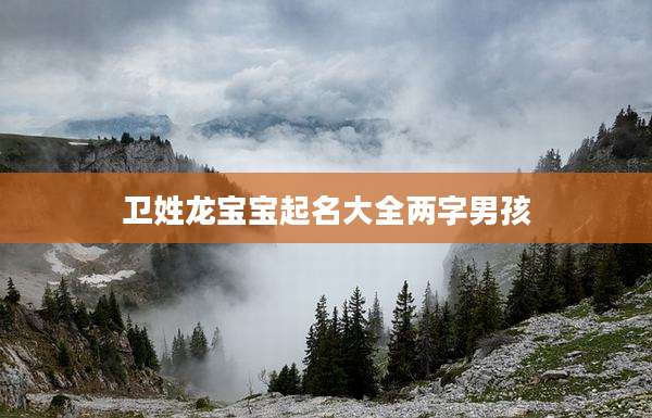 卫姓龙宝宝起名大全两字男孩