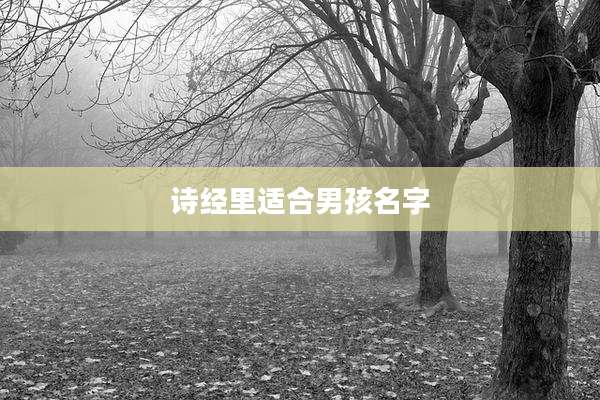 诗经里适合男孩名字