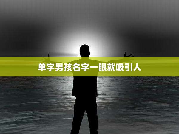 单字男孩名字一眼就吸引人