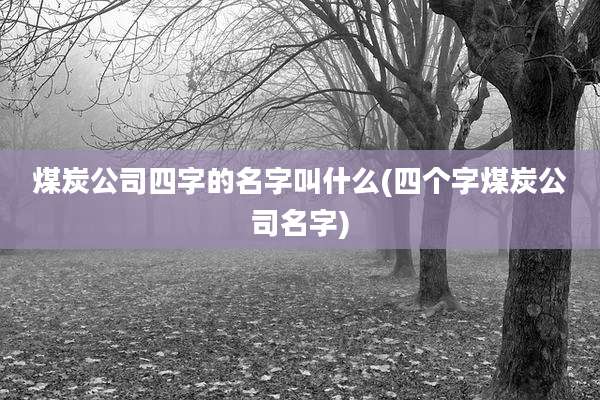 煤炭公司四字的名字叫什么(四个字煤炭公司名字)