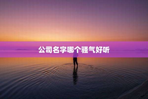 公司名字哪个骚气好听
