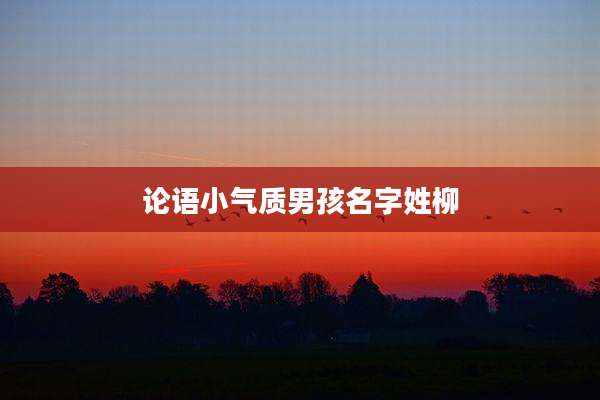 论语小气质男孩名字姓柳