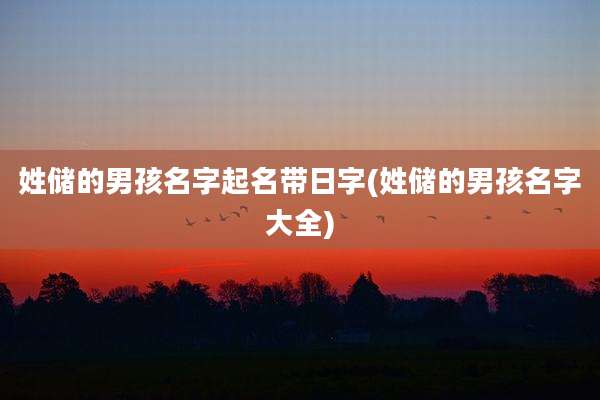 姓储的男孩名字起名带日字(姓储的男孩名字大全)