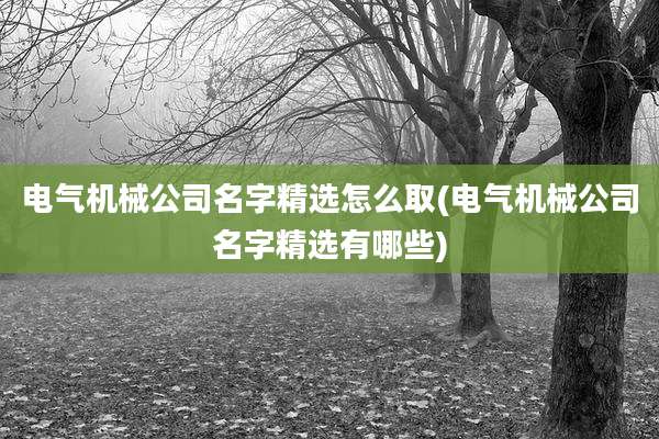 电气机械公司名字精选怎么取(电气机械公司名字精选有哪些)